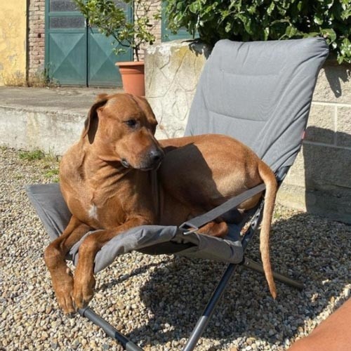 Fiesta arredamento da giardino